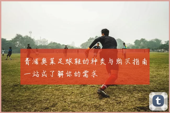青浦奥莱足球鞋的种类与购买指南一站式了解你的需求