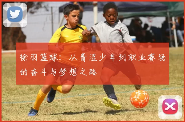 徐羽篮球：从青涩少年到职业赛场的奋斗与梦想之路