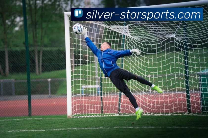 多媒体互动体验