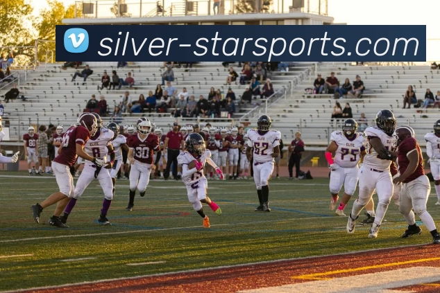 星空·体育APP 体育赛事宣传图